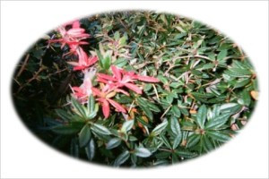 232323232fp5348;_nu=374;_;65_969_283_;65_5_237ot1lsi