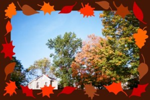 232323232fp53565_nu=374;_86;_8;3_283_86;9_4237ot1lsi