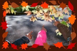 232323232fp53567_nu=374;_;65_973_283_;65_64237ot1lsi