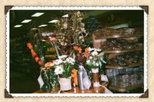 232323232fp53579_nu=374;_;65_953_283_;65_44237ot1lsi