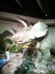 Science Museum 005