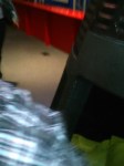 Science Museum 013
